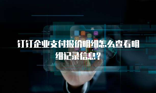 钉钉企业支付报价明细怎么查看明细记录信息?