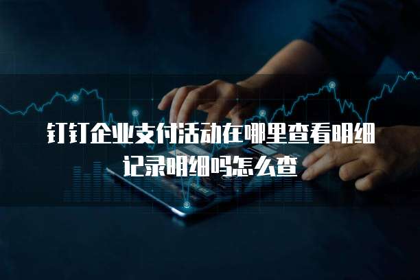 钉钉企业支付活动在哪里查看明细记录明细吗怎么查