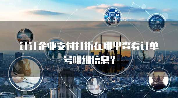 钉钉企业支付打折在哪里查看订单号明细信息?