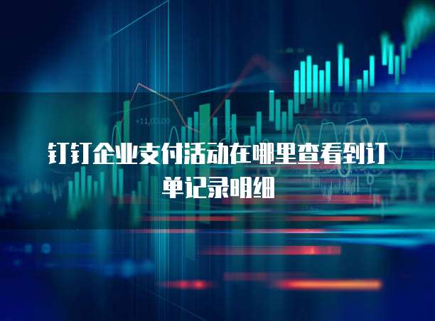 钉钉企业支付活动在哪里查看到订单记录明细