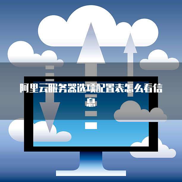 阿里云服务器选项配置表怎么看信息