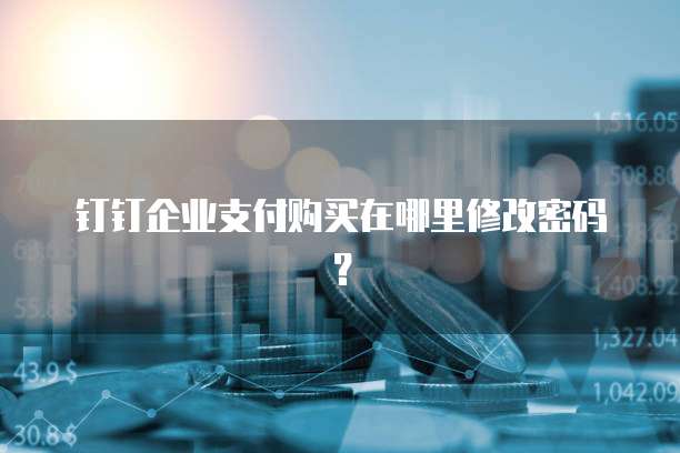 钉钉企业支付购买在哪里修改密码?
