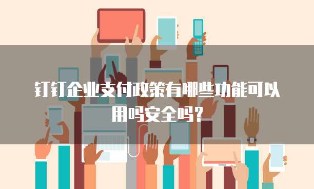 钉钉企业支付政策有哪些功能可以用吗安全吗?