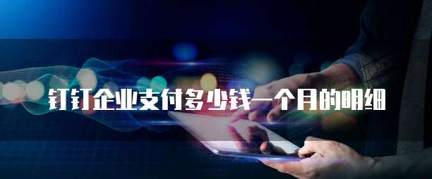 钉钉企业支付多少钱一个月的明细
