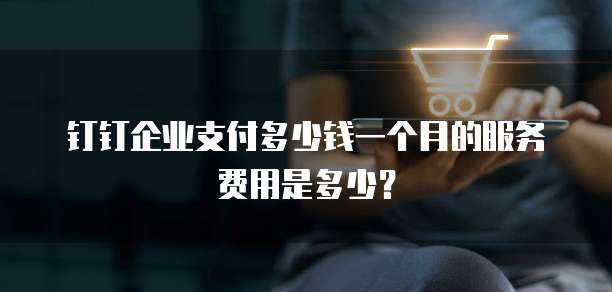 钉钉企业支付多少钱一个月的服务费用是多少?