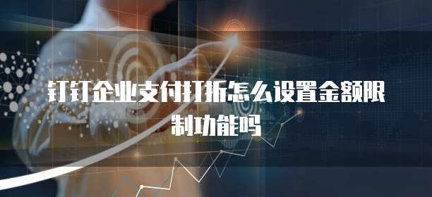 钉钉企业支付打折怎么设置金额限制功能吗