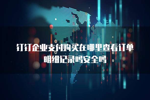 钉钉企业支付购买在哪里查看订单明细记录吗安全吗