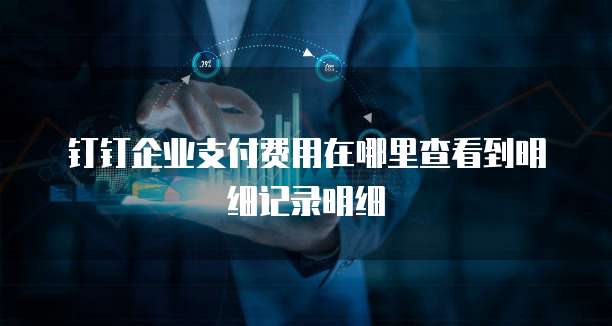 钉钉企业支付费用在哪里查看到明细记录明细