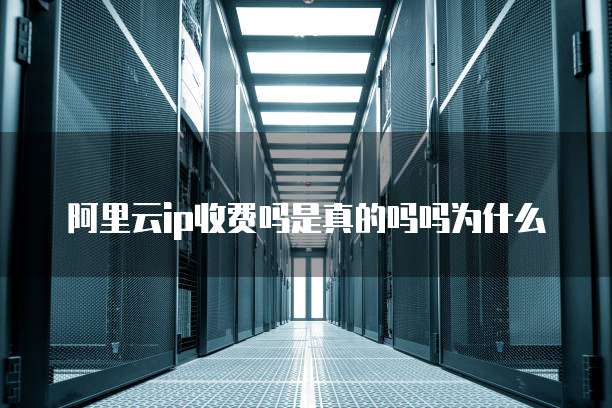阿里云ip收费吗是真的吗吗为什么