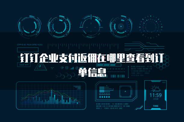 钉钉企业支付返佣在哪里查看到订单信息
