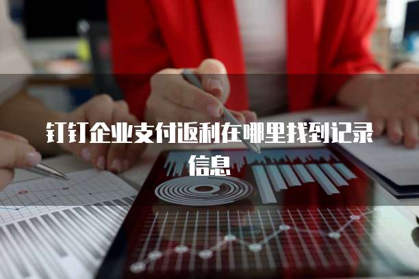 钉钉企业支付返利在哪里找到记录信息