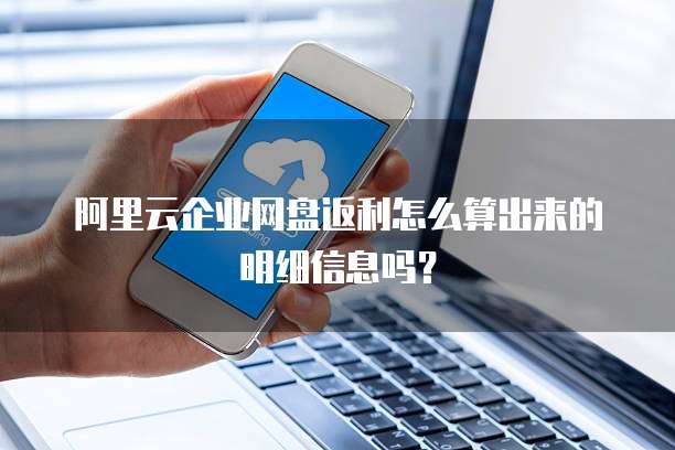 阿里云企业网盘返利怎么算出来的明细信息吗?