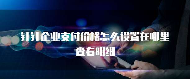 钉钉企业支付价格怎么设置在哪里查看明细