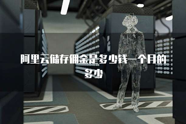 阿里云储存佣金是多少钱一个月的多少