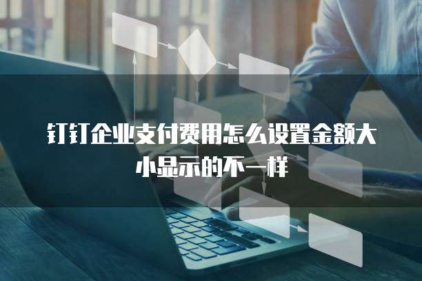 钉钉企业支付费用怎么设置金额大小显示的不一样