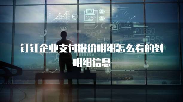 钉钉企业支付报价明细怎么看的到明细信息