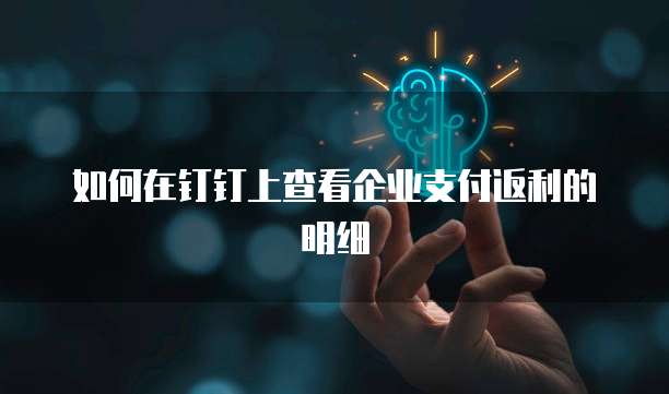 如何在钉钉上查看企业支付返利的明细