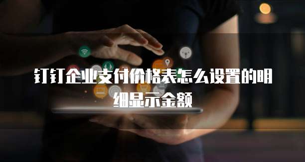 钉钉企业支付价格表怎么设置的明细显示金额