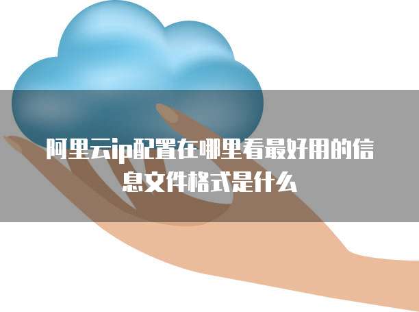 阿里云ip配置在哪里看最好用的信息文件格式是什么