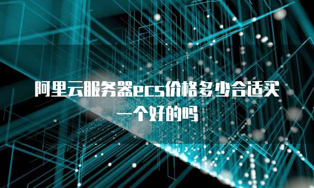 阿里云服务器ecs价格多少合适买一个好的吗