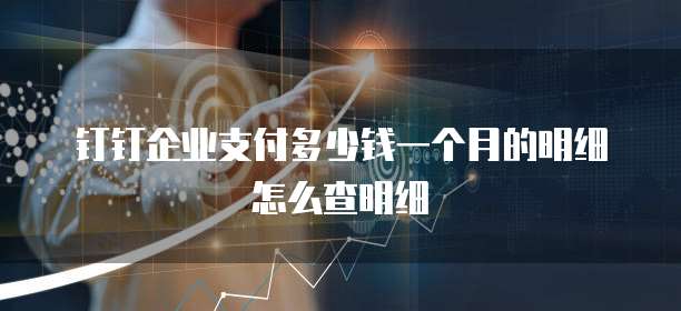 钉钉企业支付多少钱一个月的明细怎么查明细
