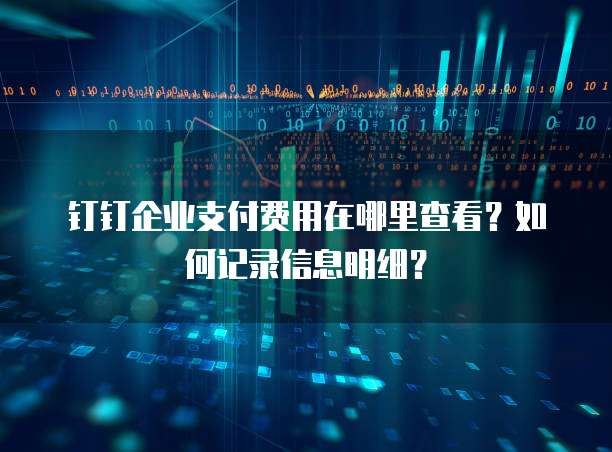 钉钉企业支付费用在哪里查看?如何记录信息明细?