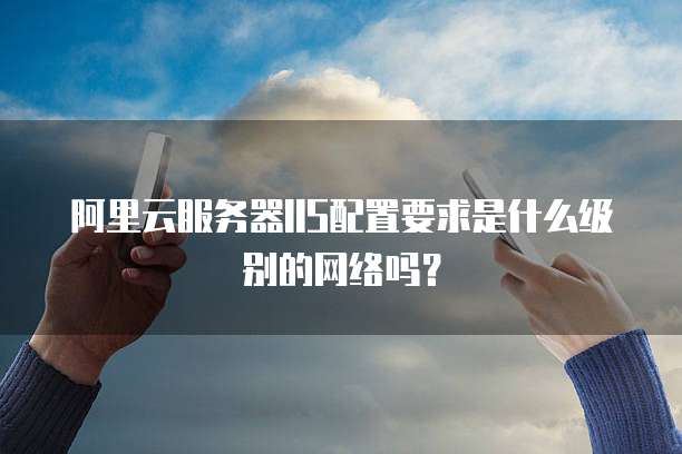 阿里云服务器IIS配置要求是什么级别的网络吗?