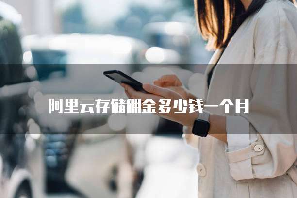 阿里云存储佣金多少钱一个月