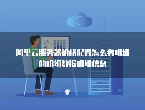 阿里云服务器价格配置怎么看明细的明细数据明细信息