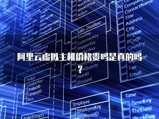 阿里云虚拟主机价格贵吗是真的吗?