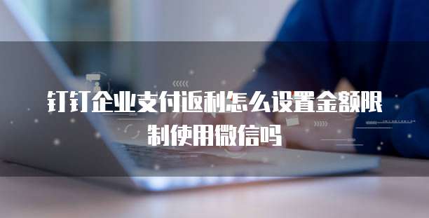 钉钉企业支付返利怎么设置金额限制使用微信吗