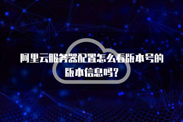阿里云服务器配置怎么看版本号的版本信息吗？