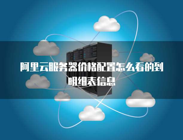 阿里云服务器价格配置怎么看的到明细表信息