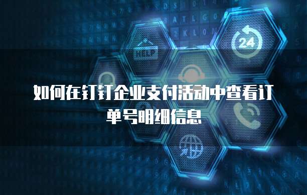 如何在钉钉企业支付活动中查看订单号明细信息