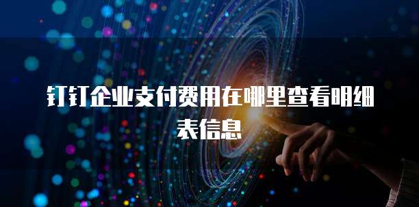 钉钉企业支付费用在哪里查看明细表信息