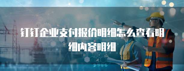 钉钉企业支付报价明细怎么查看明细内容明细