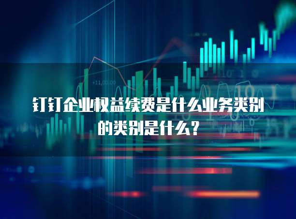 钉钉企业权益续费是什么业务类别的类别是什么？