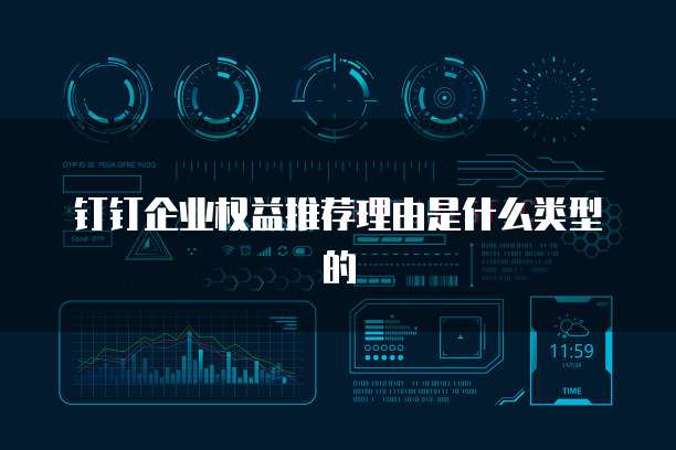 钉钉企业权益推荐理由是什么类型的