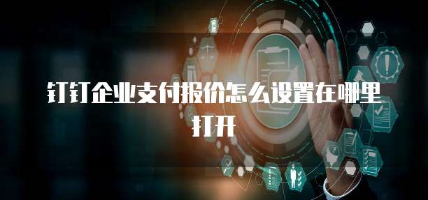 钉钉企业支付报价怎么设置在哪里打开