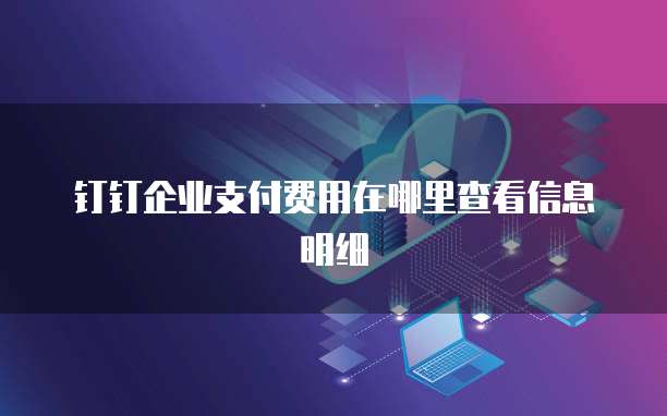 钉钉企业支付费用在哪里查看信息明细