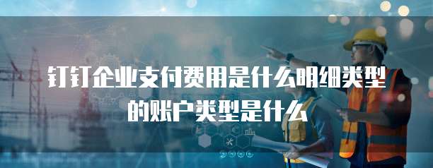 钉钉企业支付费用是什么明细类型的账户类型是什么