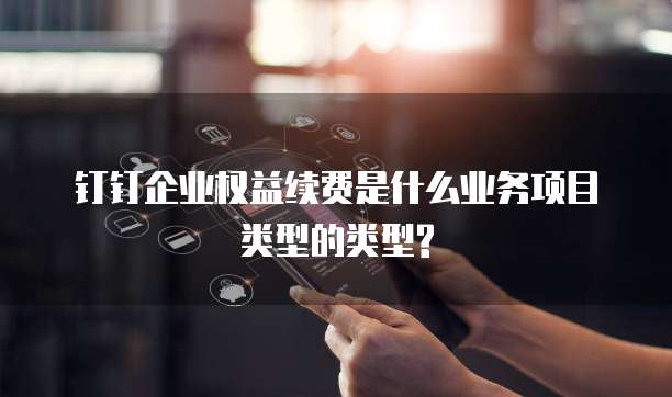 钉钉企业权益续费是什么业务项目类型的类型?