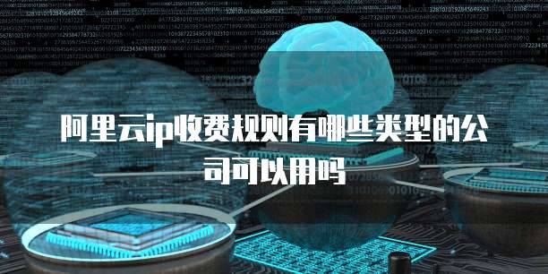 阿里云ip收费规则有哪些类型的公司可以用吗