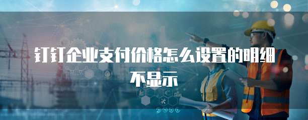 钉钉企业支付价格怎么设置的明细不显示