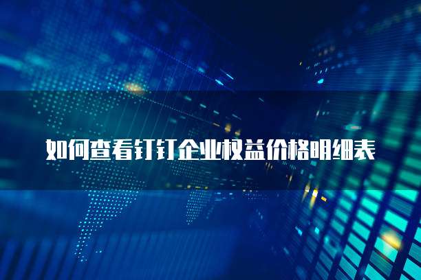 如何查看钉钉企业权益价格明细表
