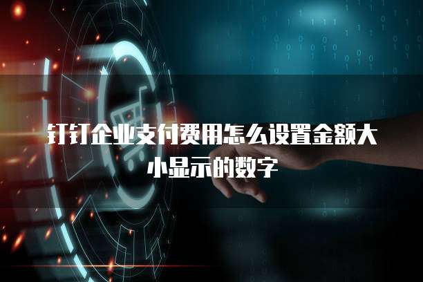 钉钉企业支付费用怎么设置金额大小显示的数字