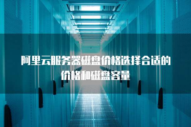 阿里云服务器磁盘价格选择合适的价格和磁盘容量