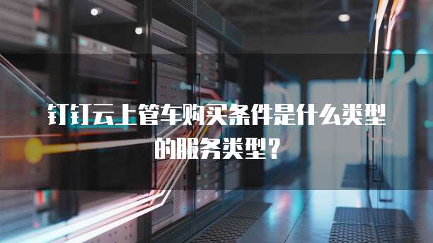 钉钉云上管车购买条件是什么类型的服务类型?