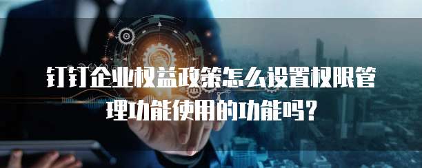 钉钉企业权益政策怎么设置权限管理功能使用的功能吗?