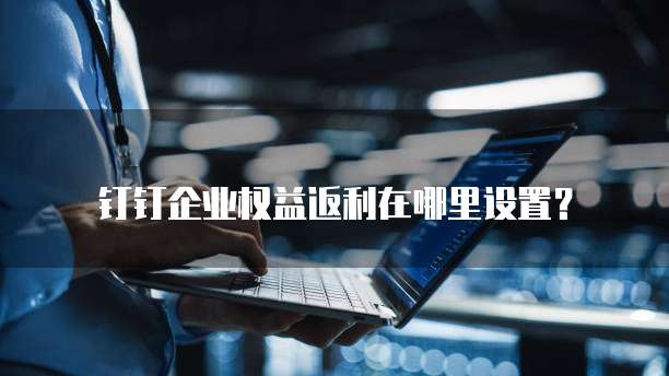 钉钉企业权益返利在哪里设置?